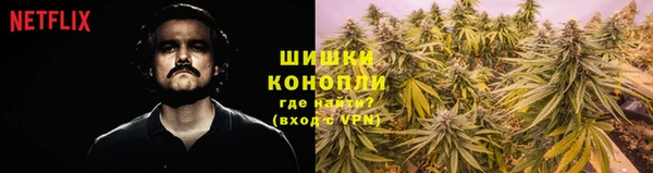 mdma Снежногорск